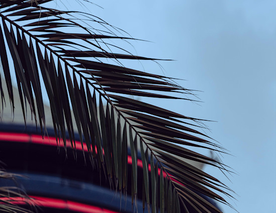 Bahrain race page copy image 6