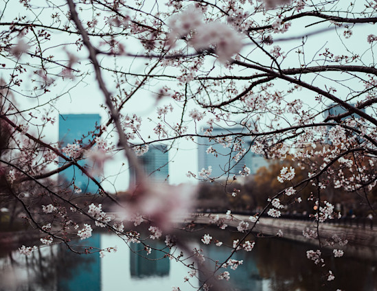 Japan preview facts copy