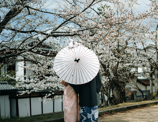 Japan preview Regent copy