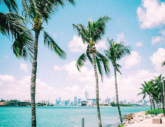 Miami GP race page - regent carousel